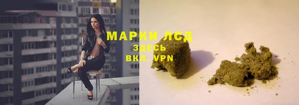 молекула духа Пересвет