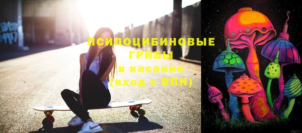 бошки Пестово