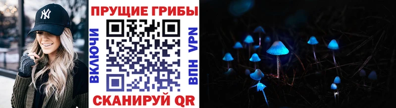 Псилоцибиновые грибы Psilocybine cubensis  Купить  Троицк 